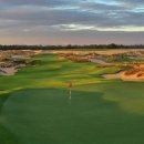 뉴오션 골프 이미지