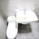 넥스빌공인중개사사무소 이미지