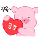 철든돼지