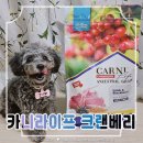 카니코리아 | 강아지 기능성사료 자연 그대로 단일단백질 카니라이프 크랜베리