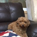 순종1농장 이미지