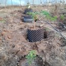 아도농장 이미지