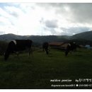 초우목장 이미지