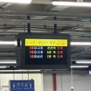 일상 11