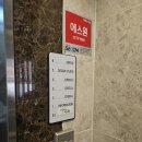 [결혼준비] 드레스투어 '크리드제이' 후기(계약X)