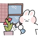 아도라 플라워 앤 카페 이미지