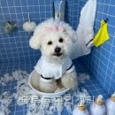 독투독 | 독투독 구리센터 직접 살펴본 교육 구성