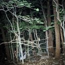 신령로 58-33 | 성불사~도솔봉(인증)~백운산(명산100 인증)~매봉(인증)~쫓비산(인증)~토끼재 등산 후기(2025. 09. 07.)