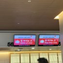 한림로 638번길 188인근 | 서귀포 여행 가볼만한 곳 추천 1일차 중문카페 서귀포맛집