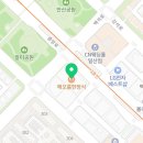 도그마캣일산
