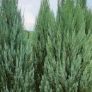 태림농원 이미지