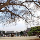 달성공원관리사무소 이미지