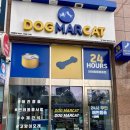 도그마캣일광