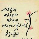 폰세상