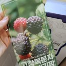 베리팜 펜션 이미지