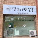 댕그리 펫 살롱 이미지