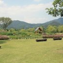 거창창포원 이미지