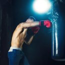 더 프리미엄 복싱 이미지