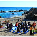 블루코스 이미지