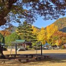 백봉초등학교 이미지