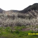 월등초등학교 이미지