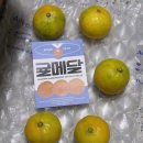 최고당도귤 귤메달 제주 하우스 감귤 가정용 2kg