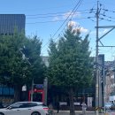 홈플러스 부산연산점 앞 횡단보도 이미지