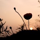 장광낚시터 이미지