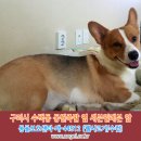 세븐일레븐편의점 앞 이미지