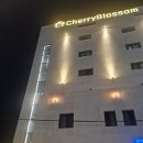 호텔체리블러썸 | 창원 진해 체리블러썸 호텔 가성비 숙소 조식 후기