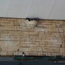 둥지카센타 이미지