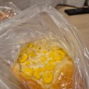 동구리 | 일본 삿포로 여행 동구리 오도리점 빵 후기