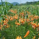 (주)자양 이미지