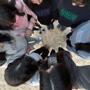 CU 원주이화길점 | [강릉여행] 강릉 단체 숙소 추천 오션뷰 리조트 “라카이샌드파인” 트리오룸 후기