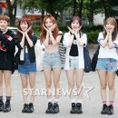 푸른소나무 이미지