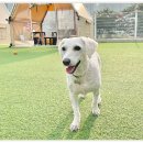 아이조아요양보호소 대구점 이미지