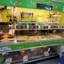 농협본점 이미지