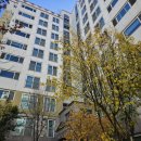 메시네 | 하남 덕풍동 삼부르네상스 30메시 미세 방충망 교체 후기