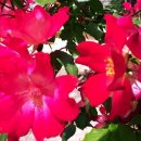 항구초등학교 이미지