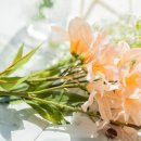 이에스스튜디오