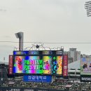 KT위즈파크 1루 테이블석 Y덤석 310구역 3열 시야 후기, 위즈파크 음식 후기