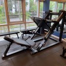 더블유 제이 이미지