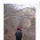 강신초교 이미지