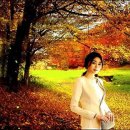 김*훈 Daum카페