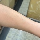 WR(부산광역시 부산진구)-[백양대로]-상-15 | 개금 가야 왁싱샵 추천 왁싱 잘하는곳 아름결뷰티