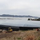 서외마을회관 이미지