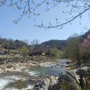 강가에서민박 이미지