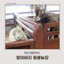 햇빛농장 | 화성가볼만한곳 할아버지 동물농장 화성아기랑 방문후기