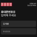 PASS인증 개그지같은점 이미지