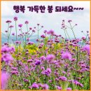 정원텔레콤 이미지